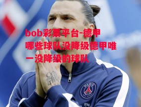 bob彩票平台-德甲哪些球队没降级德甲唯一没降级的球队